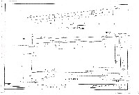 藏品(建築圖)的圖片