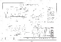 藏品(建築圖)的圖片