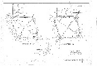 藏品(建築圖)的圖片