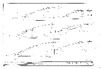 藏品(建築圖)的圖片
