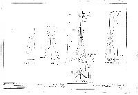 藏品(建築圖)的圖片