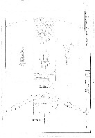 藏品(建築圖)的圖片