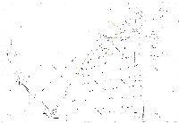 藏品(建築圖)的圖片