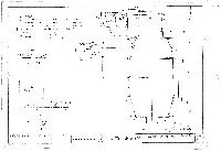 藏品(建築圖)的圖片