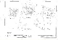 藏品(建築圖)的圖片