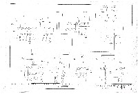 藏品(建築圖)的圖片