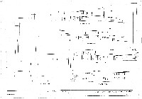 藏品(建築圖)的圖片