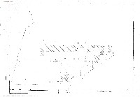 藏品(建築圖)的圖片