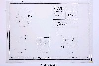 藏品(建築圖)的圖片