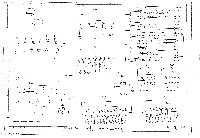 藏品(建築圖)的圖片