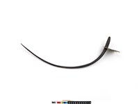 藏品(翹尾形割禾器)的圖片