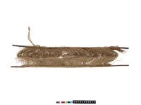 藏品(綜)的圖片