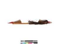 藏品(木梳)的圖片