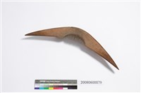 藏品(牛角形木梳)的圖片