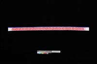 藏品(領飾)的圖片