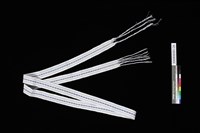 藏品(腰帶)的圖片