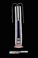 藏品(背牌)的圖片