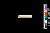 藏品(玉管珠)的圖片