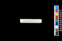 藏品(玉管珠)的圖片