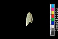 藏品(玉鏃殘件)的圖片