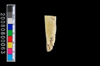 藏品(玉廢料)的圖片