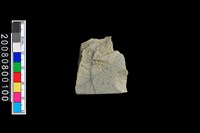 藏品(石錛殘件)的圖片