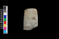 藏品(石錛)的圖片