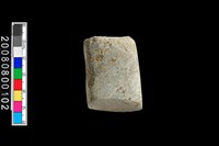 藏品(石錛)的圖片