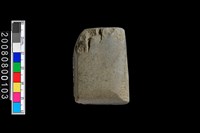 藏品(石錛)的圖片