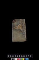 藏品(石錛)的圖片