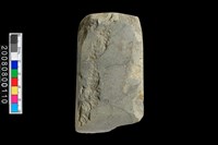 藏品(石錛)的圖片