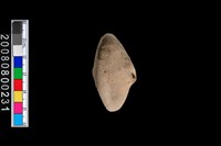 藏品(陶紡輪)的圖片