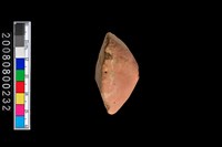 藏品(陶紡輪)的圖片