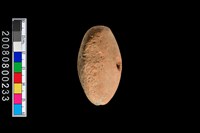 藏品(陶紡輪)的圖片