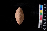 藏品(陶紡輪)的圖片