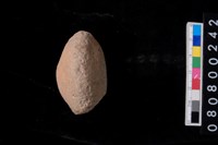 藏品(陶紡輪)的圖片