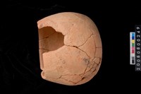 藏品(陶勺)的圖片