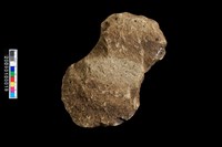 藏品(打製石斧)的圖片