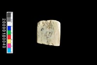 藏品(玉錛)的圖片