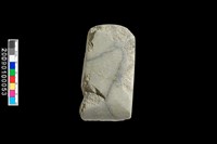 藏品(石錛)的圖片