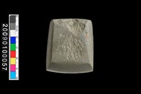 藏品(石錛)的圖片