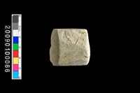 藏品(石錛)的圖片