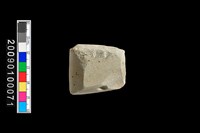 藏品(石錛)的圖片