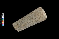 藏品(石杵)的圖片