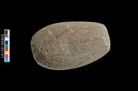 藏品(石錘)的圖片