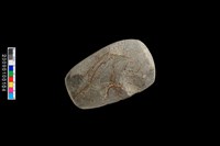 藏品(石錘)的圖片