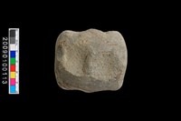 藏品(石錘)的圖片