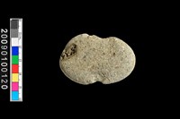 藏品(石網墜)的圖片