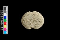 藏品(石網墜)的圖片