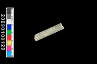 藏品(玉管珠)的圖片